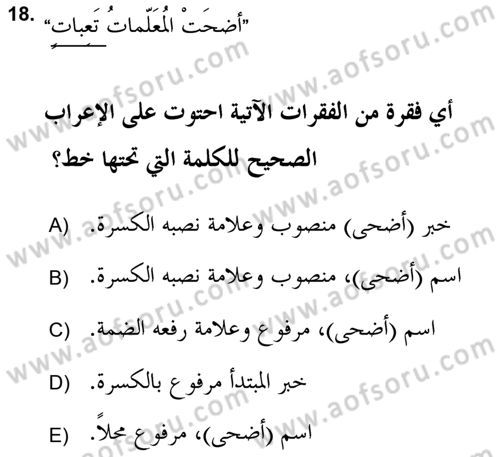 Arapça 2 (APÇ) Dersi 2017 - 2018 Yılı (Final) Dönem Sonu Sınav Soruları 18. Soru