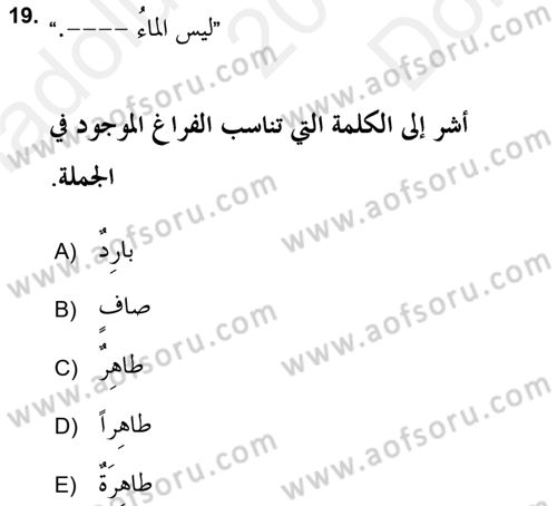 Arapça 2 (APÇ) Dersi 2017 - 2018 Yılı (Final) Dönem Sonu Sınav Soruları 19. Soru