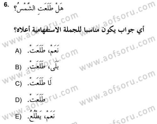 Arapça 2 (APÇ) Dersi 2017 - 2018 Yılı (Final) Dönem Sonu Sınav Soruları 6. Soru