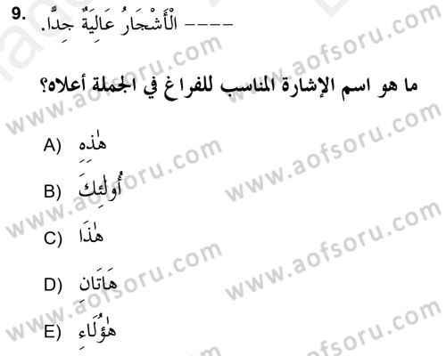 Arapça 2 (APÇ) Dersi 2017 - 2018 Yılı (Final) Dönem Sonu Sınav Soruları 9. Soru