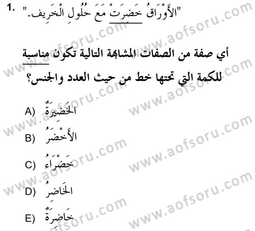 Arapça 2 (APÇ) Dersi 2018 - 2019 Yılı (Vize) Ara Sınav Soruları 1. Soru