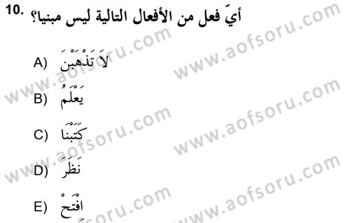 Arapça 2 (APÇ) Dersi 2018 - 2019 Yılı (Vize) Ara Sınav Soruları 10. Soru