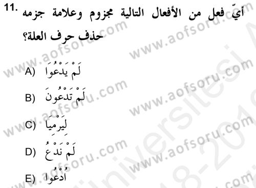 Arapça 2 (APÇ) Dersi 2018 - 2019 Yılı (Vize) Ara Sınav Soruları 11. Soru