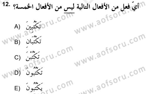 Arapça 2 (APÇ) Dersi 2018 - 2019 Yılı (Vize) Ara Sınav Soruları 12. Soru