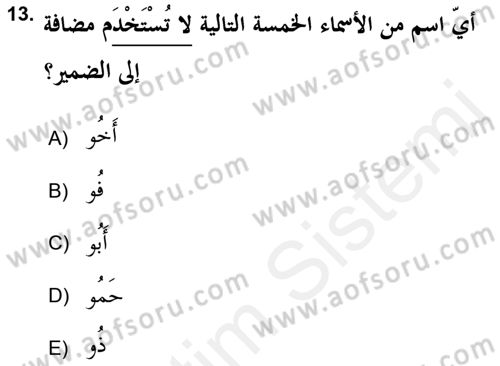 Arapça 2 (APÇ) Dersi 2018 - 2019 Yılı (Vize) Ara Sınav Soruları 13. Soru