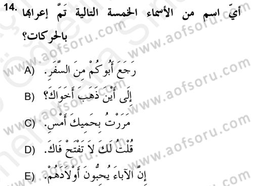 Arapça 2 (APÇ) Dersi 2018 - 2019 Yılı (Vize) Ara Sınav Soruları 14. Soru