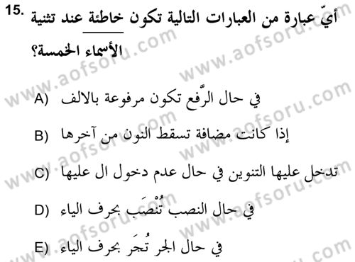 Arapça 2 (APÇ) Dersi 2018 - 2019 Yılı (Vize) Ara Sınav Soruları 15. Soru