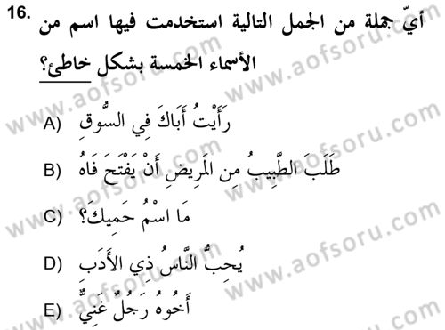 Arapça 2 (APÇ) Dersi 2018 - 2019 Yılı (Vize) Ara Sınav Soruları 16. Soru