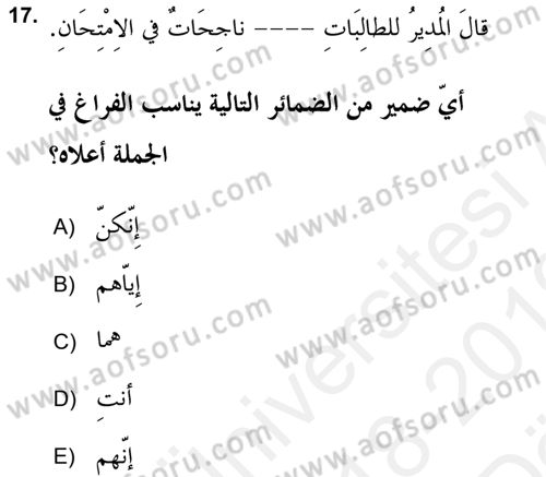 Arapça 2 (APÇ) Dersi 2018 - 2019 Yılı (Vize) Ara Sınav Soruları 17. Soru