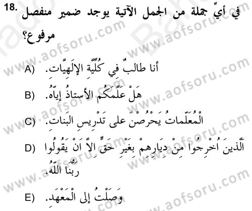 Arapça 2 (APÇ) Dersi 2018 - 2019 Yılı (Vize) Ara Sınav Soruları 18. Soru