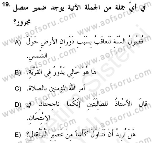 Arapça 2 (APÇ) Dersi 2018 - 2019 Yılı (Vize) Ara Sınav Soruları 19. Soru