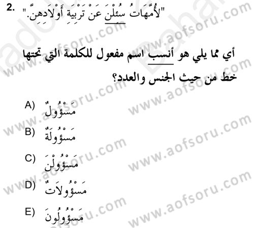 Arapça 2 (APÇ) Dersi 2018 - 2019 Yılı (Vize) Ara Sınav Soruları 2. Soru