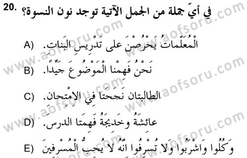Arapça 2 (APÇ) Dersi 2018 - 2019 Yılı (Vize) Ara Sınav Soruları 20. Soru