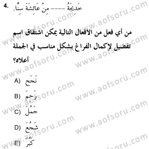 Arapça 2 (APÇ) Dersi 2018 - 2019 Yılı (Vize) Ara Sınav Soruları 4. Soru