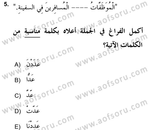 Arapça 2 (APÇ) Dersi 2018 - 2019 Yılı (Vize) Ara Sınav Soruları 5. Soru