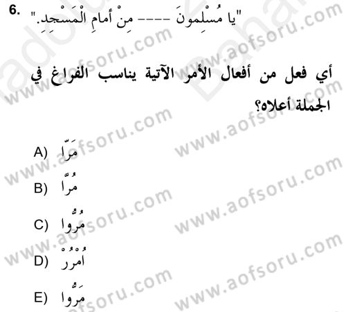 Arapça 2 (APÇ) Dersi 2018 - 2019 Yılı (Vize) Ara Sınav Soruları 6. Soru