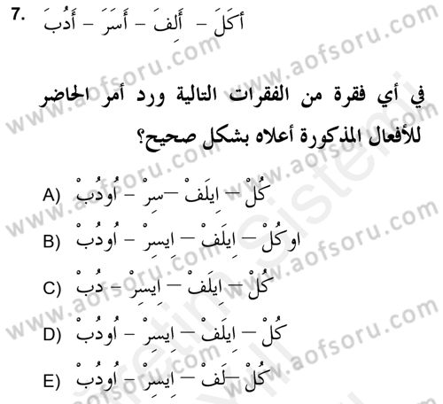 Arapça 2 (APÇ) Dersi 2018 - 2019 Yılı (Vize) Ara Sınav Soruları 7. Soru