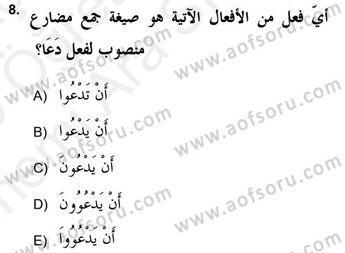 Arapça 2 (APÇ) Dersi 2018 - 2019 Yılı (Vize) Ara Sınav Soruları 8. Soru