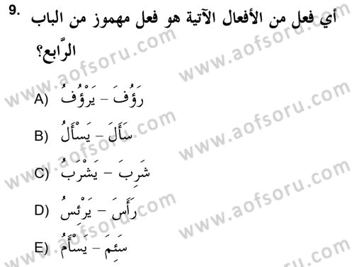 Arapça 2 (APÇ) Dersi 2018 - 2019 Yılı (Vize) Ara Sınav Soruları 9. Soru