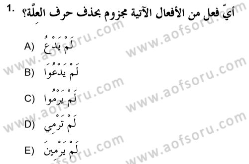 Arapça 2 (APÇ) Dersi 2018 - 2019 Yılı (Final) Dönem Sonu Sınav Soruları 1. Soru