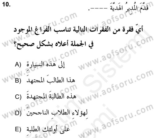 Arapça 2 (APÇ) Dersi 2018 - 2019 Yılı (Final) Dönem Sonu Sınav Soruları 10. Soru