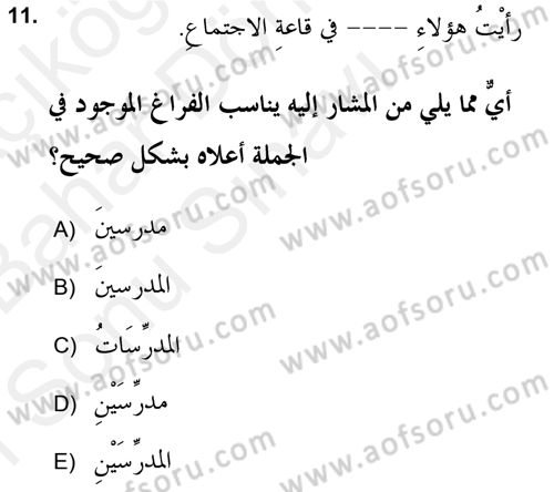 Arapça 2 (APÇ) Dersi 2018 - 2019 Yılı (Final) Dönem Sonu Sınav Soruları 11. Soru