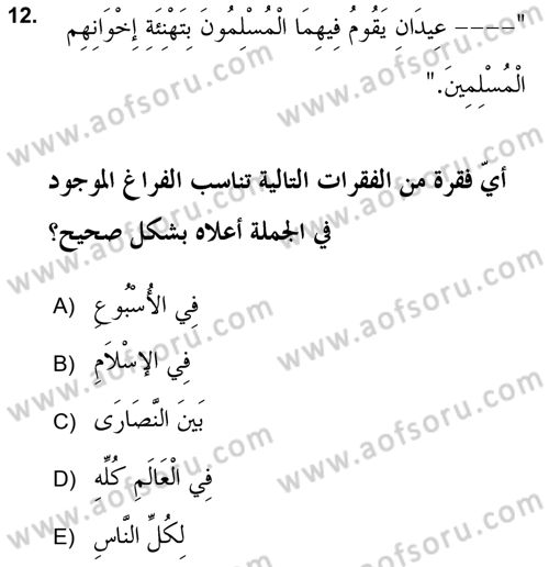 Arapça 2 (APÇ) Dersi 2018 - 2019 Yılı (Final) Dönem Sonu Sınav Soruları 12. Soru