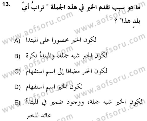 Arapça 2 (APÇ) Dersi 2018 - 2019 Yılı (Final) Dönem Sonu Sınav Soruları 13. Soru