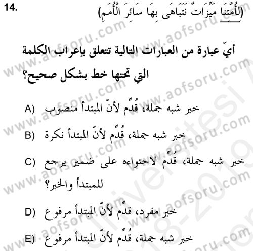 Arapça 2 (APÇ) Dersi 2018 - 2019 Yılı (Final) Dönem Sonu Sınav Soruları 14. Soru