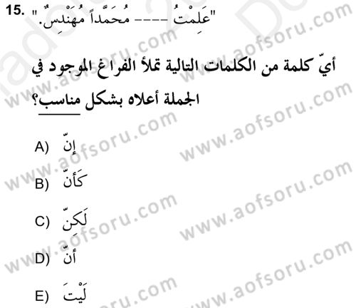 Arapça 2 (APÇ) Dersi 2018 - 2019 Yılı (Final) Dönem Sonu Sınav Soruları 15. Soru