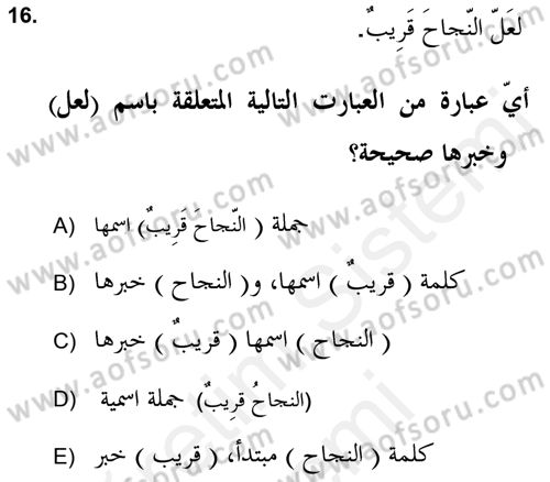 Arapça 2 (APÇ) Dersi 2018 - 2019 Yılı (Final) Dönem Sonu Sınav Soruları 16. Soru