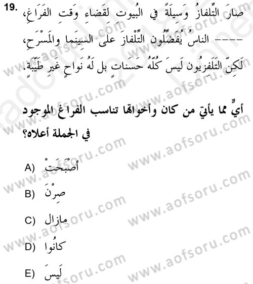 Arapça 2 (APÇ) Dersi 2018 - 2019 Yılı (Final) Dönem Sonu Sınav Soruları 19. Soru
