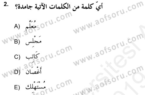 Arapça 2 (APÇ) Dersi 2018 - 2019 Yılı (Final) Dönem Sonu Sınav Soruları 2. Soru