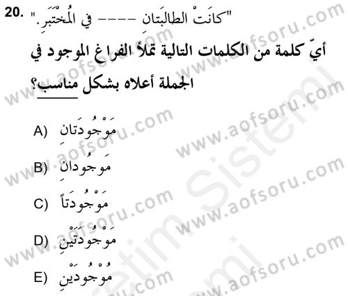 Arapça 2 (APÇ) Dersi 2018 - 2019 Yılı (Final) Dönem Sonu Sınav Soruları 20. Soru