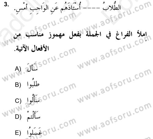 Arapça 2 (APÇ) Dersi 2018 - 2019 Yılı (Final) Dönem Sonu Sınav Soruları 3. Soru