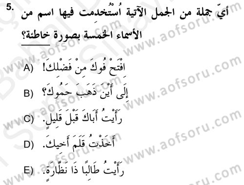 Arapça 2 (APÇ) Dersi 2018 - 2019 Yılı (Final) Dönem Sonu Sınav Soruları 5. Soru