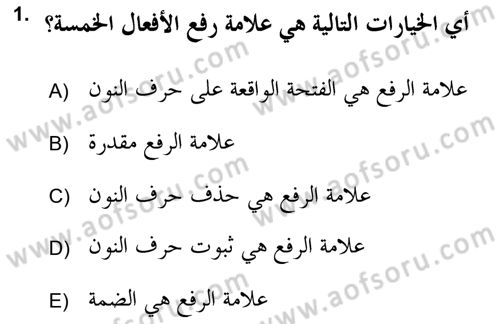 Arapça 2 (APÇ) Dersi 2018 - 2019 Yılı Yaz Okulu Sınav Soruları 1. Soru