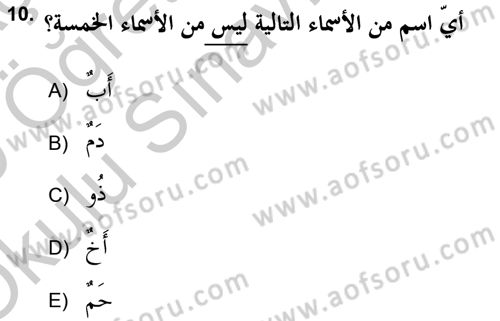 Arapça 2 (APÇ) Dersi 2018 - 2019 Yılı Yaz Okulu Sınav Soruları 10. Soru