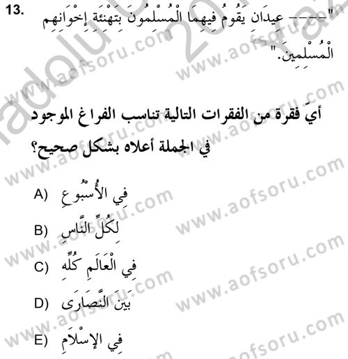 Arapça 2 (APÇ) Dersi 2018 - 2019 Yılı Yaz Okulu Sınav Soruları 13. Soru