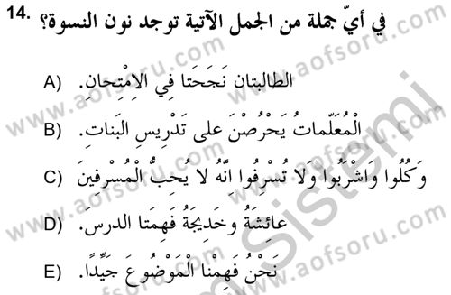 Arapça 2 (APÇ) Dersi 2018 - 2019 Yılı Yaz Okulu Sınav Soruları 14. Soru
