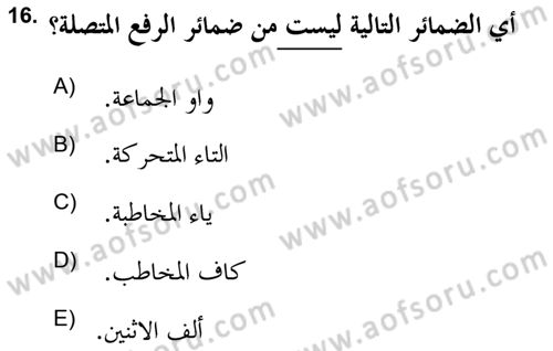 Arapça 2 (APÇ) Dersi 2018 - 2019 Yılı Yaz Okulu Sınav Soruları 16. Soru