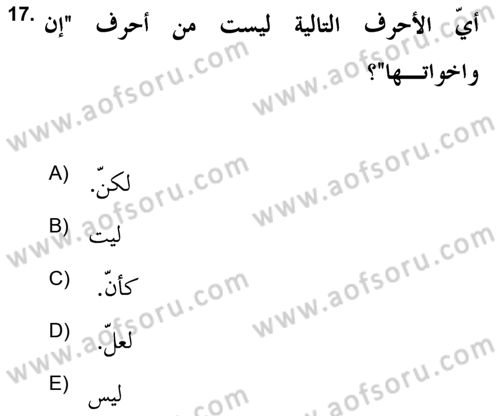 Arapça 2 (APÇ) Dersi 2018 - 2019 Yılı Yaz Okulu Sınav Soruları 17. Soru
