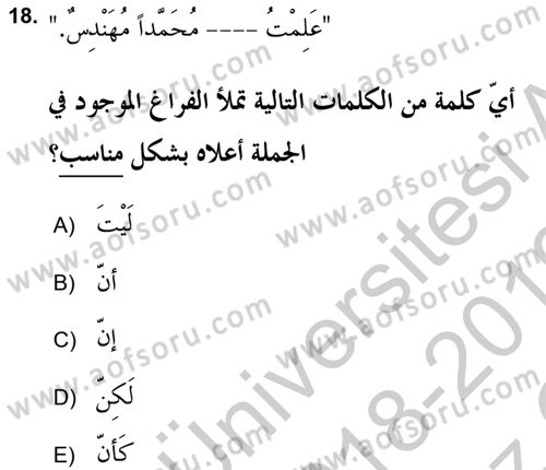 Arapça 2 (APÇ) Dersi 2018 - 2019 Yılı Yaz Okulu Sınav Soruları 18. Soru