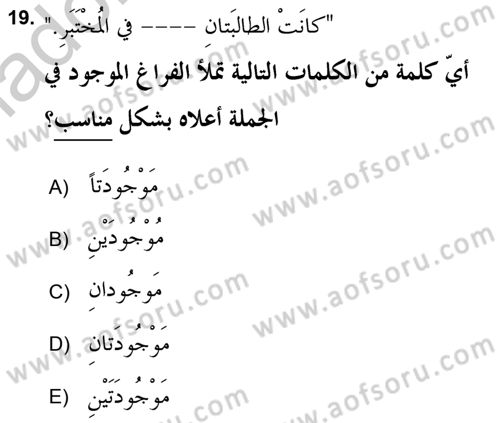 Arapça 2 (APÇ) Dersi 2018 - 2019 Yılı Yaz Okulu Sınav Soruları 19. Soru