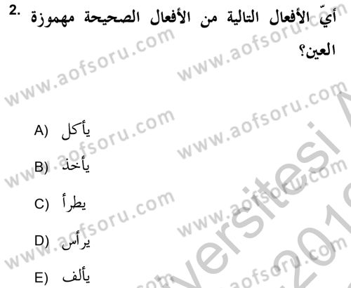 Arapça 2 (APÇ) Dersi 2018 - 2019 Yılı Yaz Okulu Sınav Soruları 2. Soru