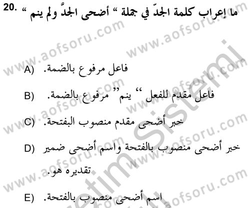 Arapça 2 (APÇ) Dersi 2018 - 2019 Yılı Yaz Okulu Sınav Soruları 20. Soru