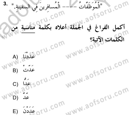 Arapça 2 (APÇ) Dersi 2018 - 2019 Yılı Yaz Okulu Sınav Soruları 3. Soru