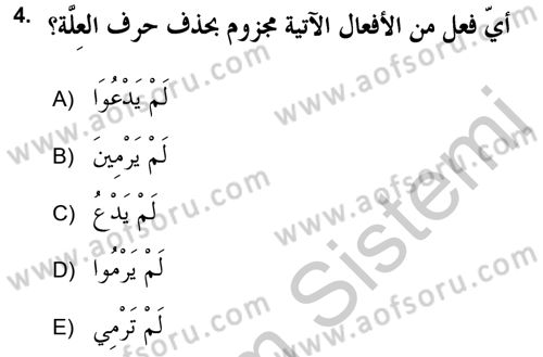 Arapça 2 (APÇ) Dersi 2018 - 2019 Yılı Yaz Okulu Sınav Soruları 4. Soru
