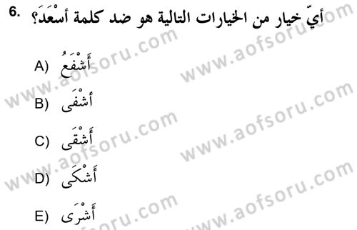 Arapça 2 (APÇ) Dersi 2018 - 2019 Yılı Yaz Okulu Sınav Soruları 6. Soru