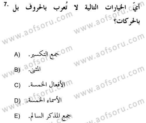 Arapça 2 (APÇ) Dersi 2018 - 2019 Yılı Yaz Okulu Sınav Soruları 7. Soru